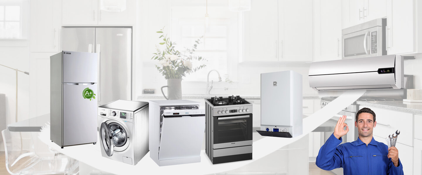 Erzincan Electrolux Servisi